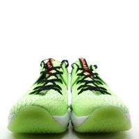 Кросівки Nike Lebron Witness 5, 42,5 EU 10